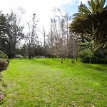 Escape Al Bosque! - Casa Vintage