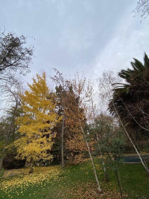 Escape Al Bosque! - Casa Vintage * San Luis