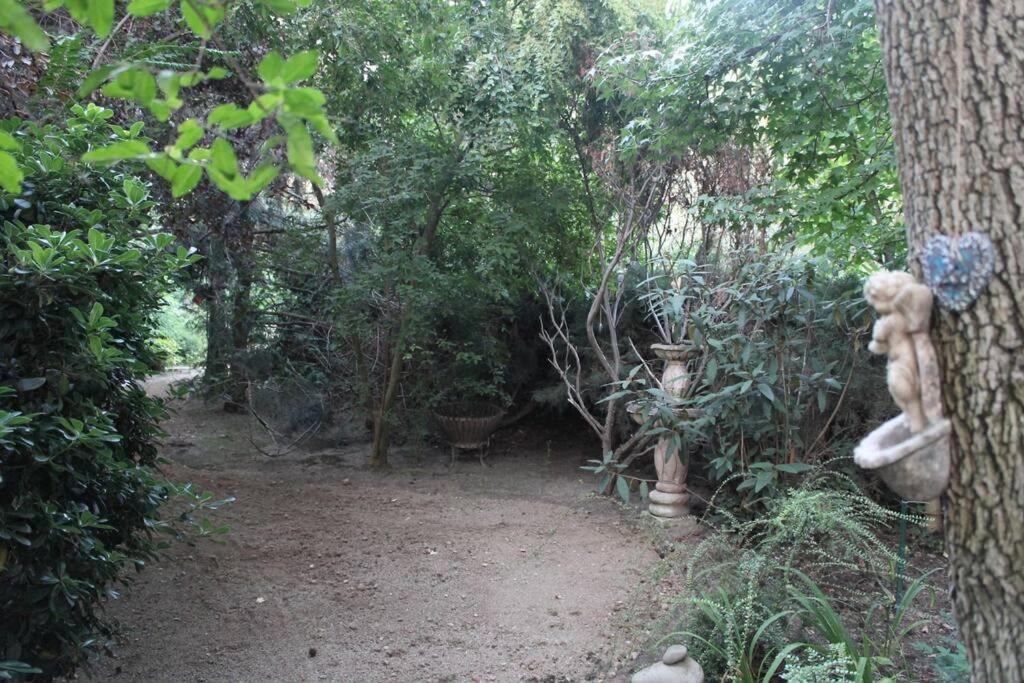 Casa de férias Escape Al Bosque! - Casa Vintage