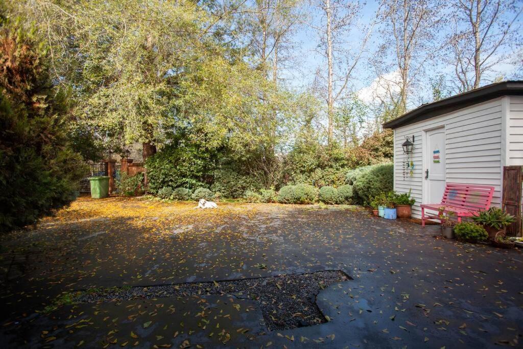Escape Al Bosque! - Casa Vintage *