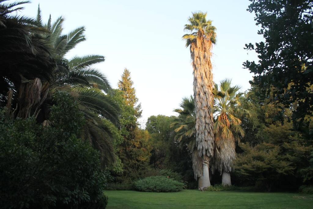 Casa de férias Escape Al Bosque! - Casa Vintage